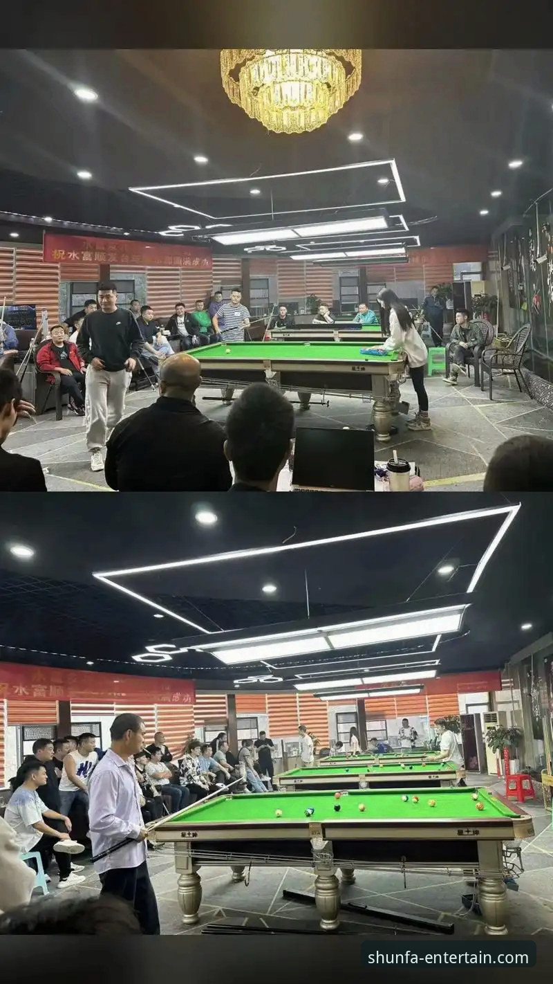 顺发娱乐平台最新动态：新手必看的全功能体验与安全指南